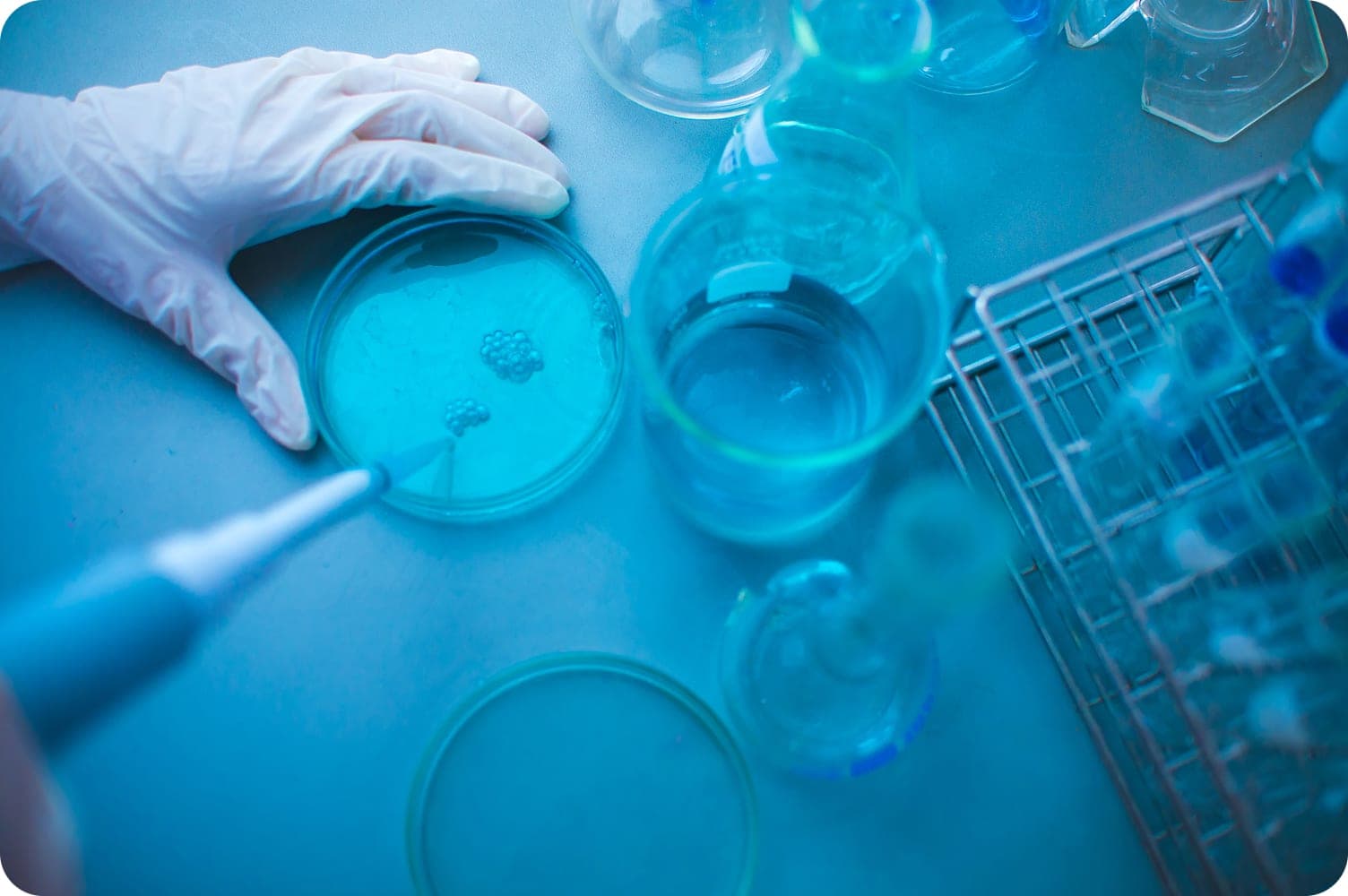 RAD51predict, un proyecto de investigación multicéntrico para gobernanza federada de datos