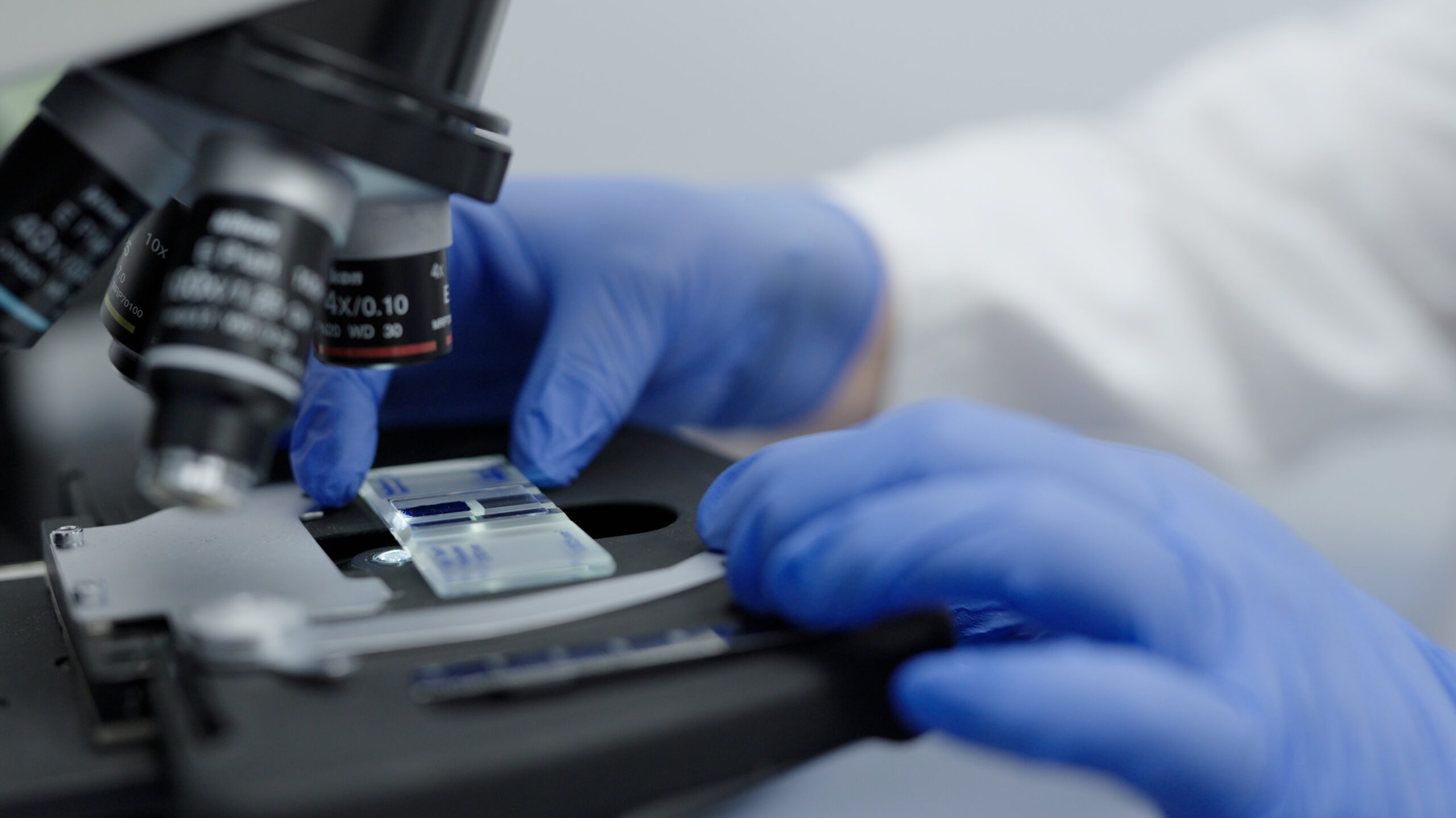 Imagen de la tarjeta